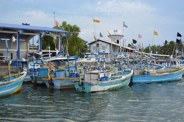 Backpacking in Sri Lanka - Boote