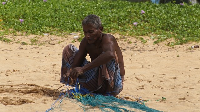 Backpacking in Sri Lanka - Fischer