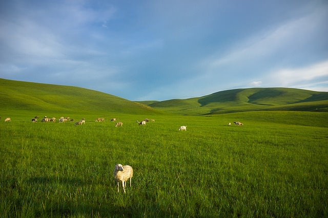 Backpacking in der Mongolei - Landschaft