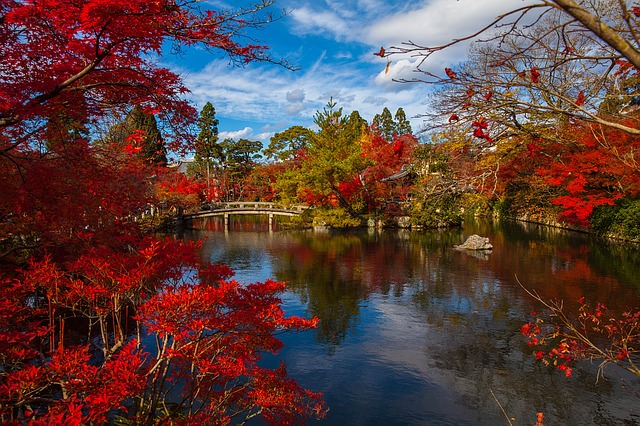 Backpacking in Japan - Garten mit See