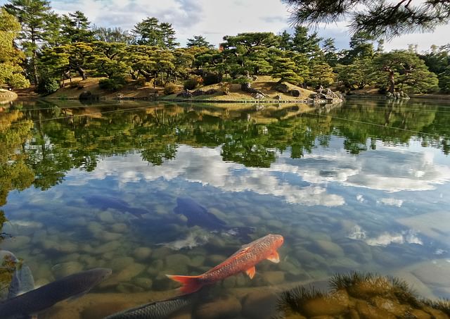 Backpacking in Japan - Natur