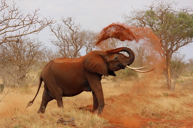 Backpacking in Afrika