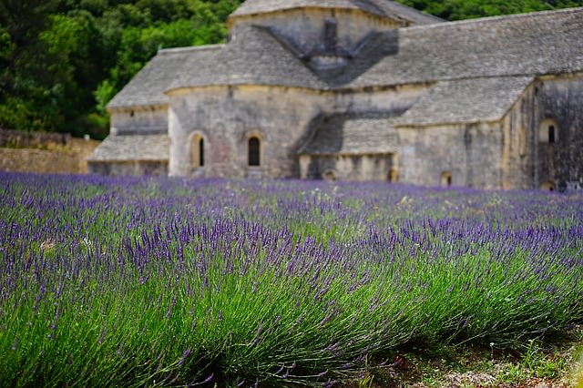 Backpacking in Frankreich - Lavender