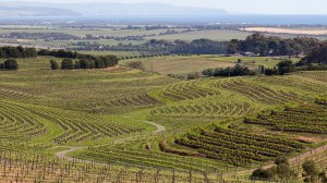 Wein aus Australien