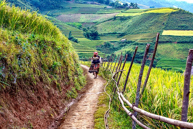 Wanderweg in Vietnam