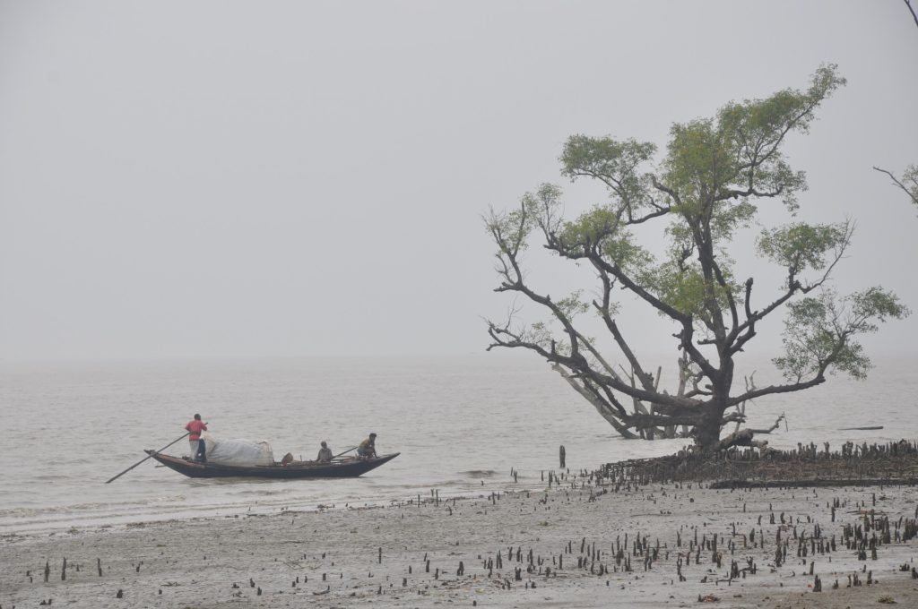 Backpacking in Bangladesch - Sundarban