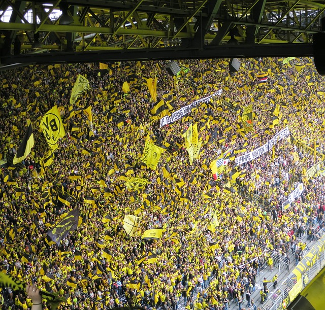 Dortmund Fans