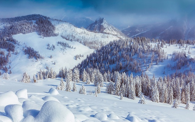 austria snow