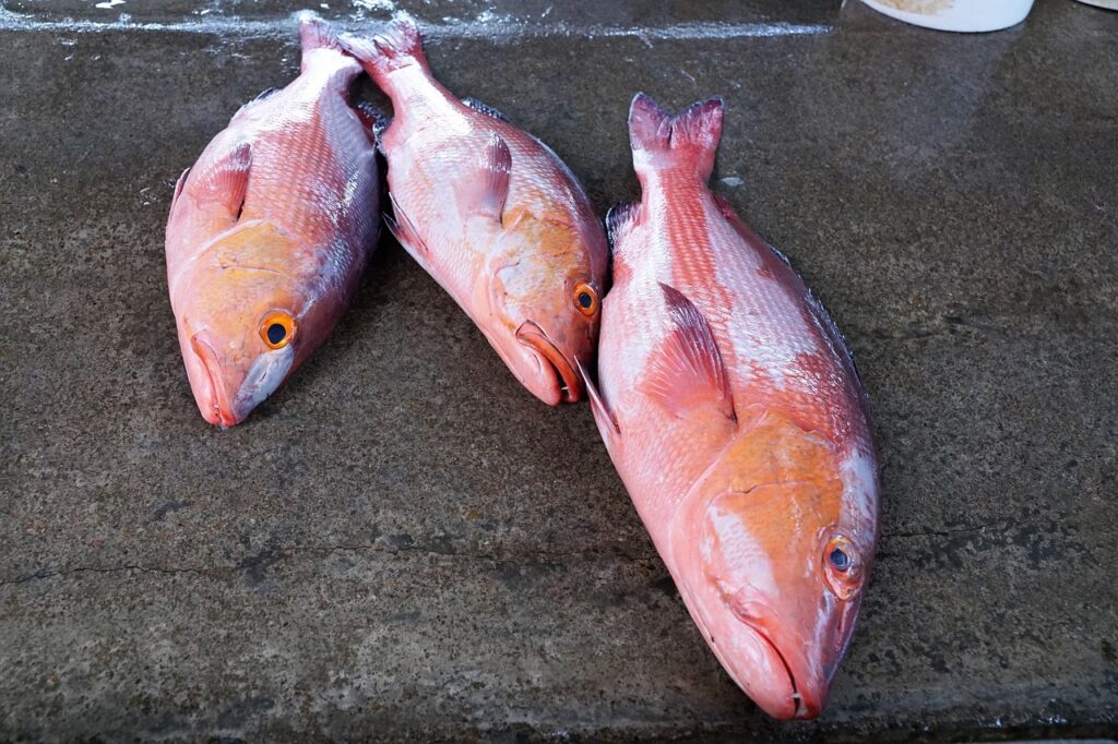 Frischer Fisch auf dem Markt in Victoria, Seychellen