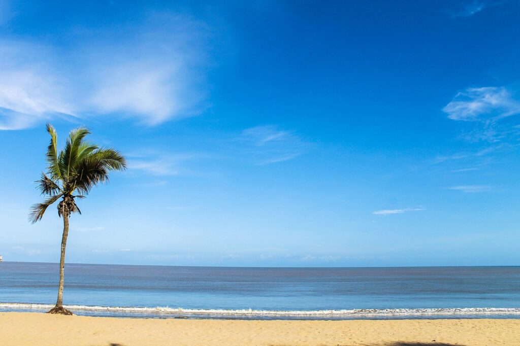 Strand an der Atlantikküste Angolas mit Palme