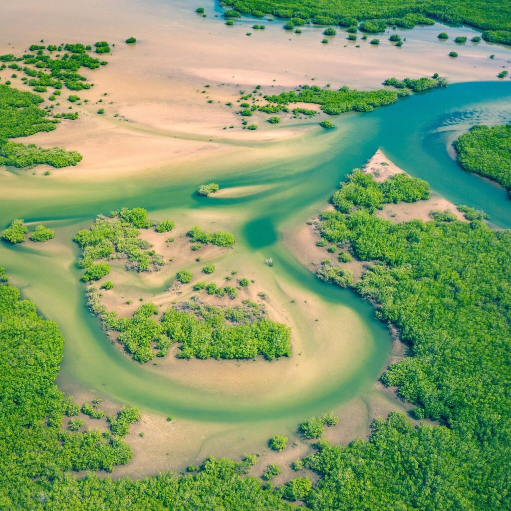 Senegal aerial