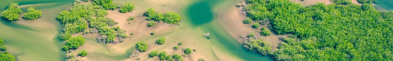 Senegal aerial