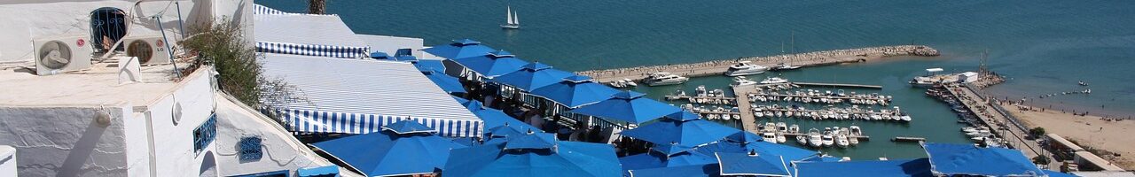 Sidi Bou Said blaue Tueren über dem Meer