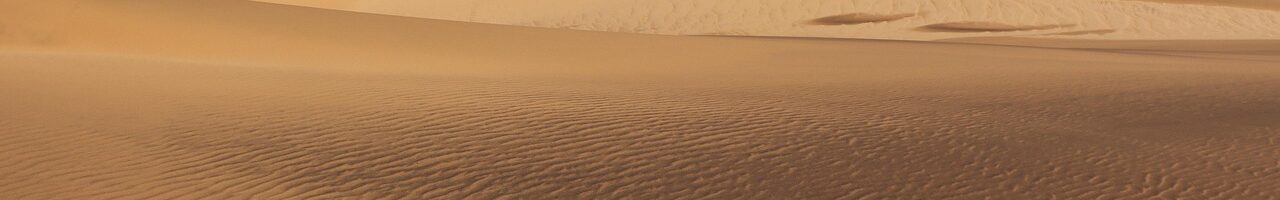 Rote Sanddünen der Namib-Wüste in Namibia