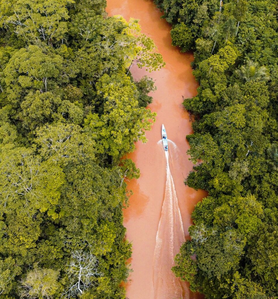 Fluss durch den Regenwald in Suriname aus der Vogelperspektive