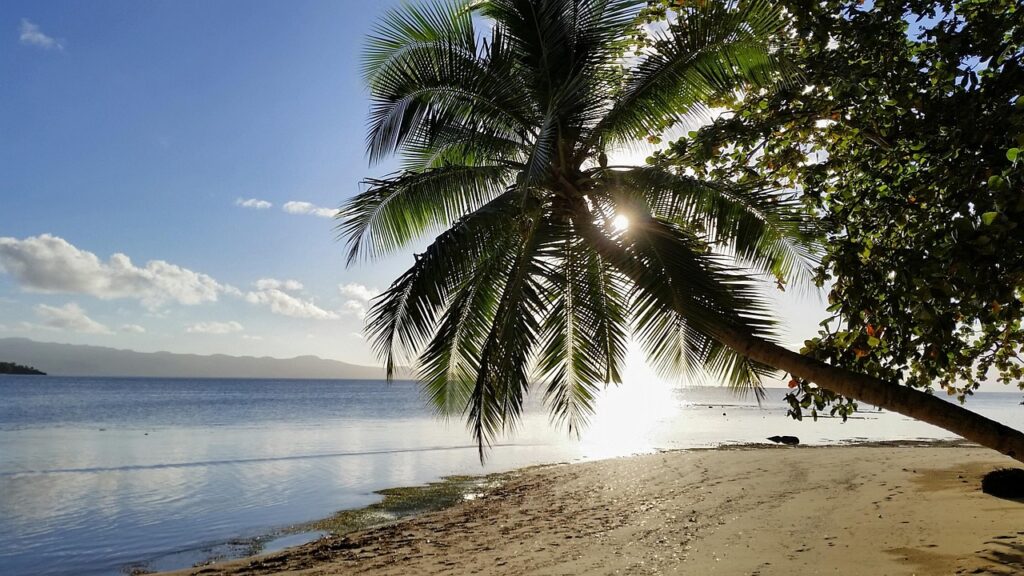 Palmenstrand und türkise Bucht auf Fidschi