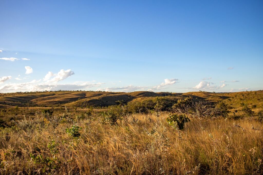 Weite Savannenlandschaft in der Rupununi-Region in Guyana