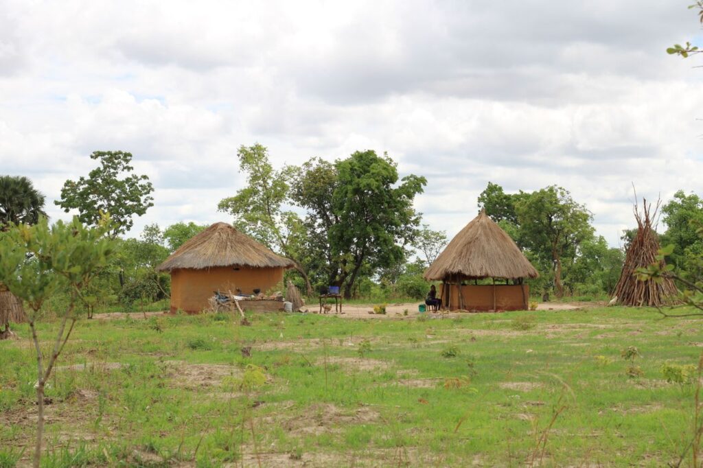 Traditionelles Dorf mit Rundhütten in Sambia